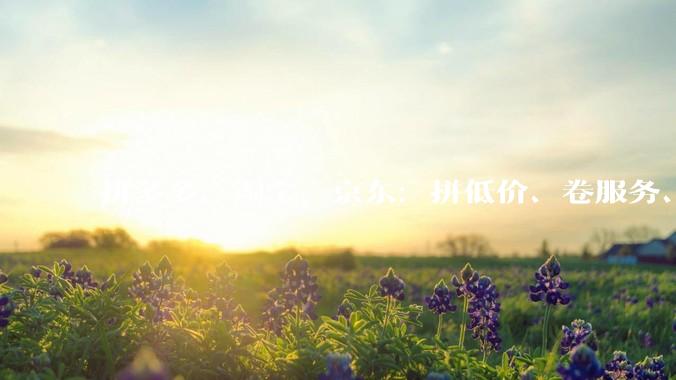 拼多多、淘宝、京东：拼低价、卷服务、强技术 - *