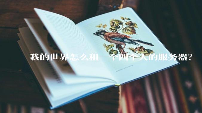 我的世界怎么租一个四个人的服务器？