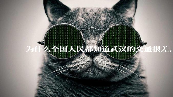 为什么全国人民都知道武汉的交通很差，但是武汉人不知道？