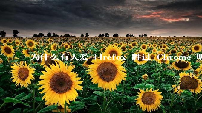 为什么有人爱 Firefox 胜过 Chrome 呢？